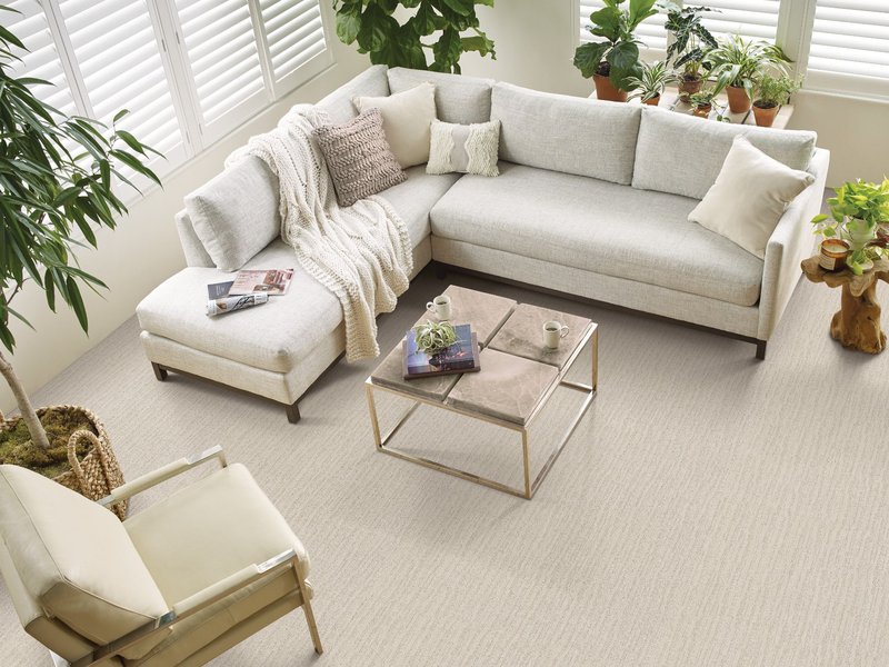 Homeowner comparing carpet, hardwood, luxury vinyl, laminate, and tile flooring options using Carpet Masters' in-home flooring consultation services.